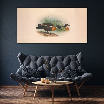 Tableau imprimé sur toile Deux canards dans l'herbe