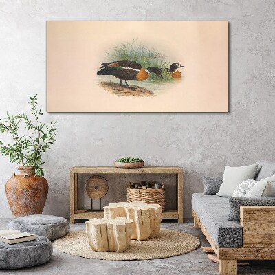 Tableau imprimé sur toile Deux canards dans l'herbe