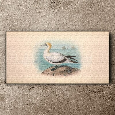 Tableau sur toile Oiseau de mer sur fond d'eau