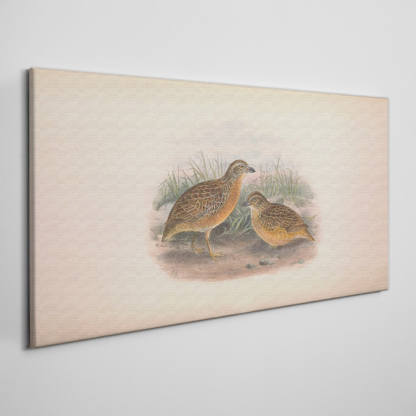 Tableau imprimé sur toile Deux oiseaux dans l'herbe
