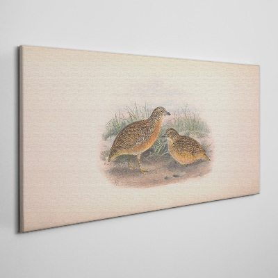 Tableau imprimé sur toile Deux oiseaux dans l'herbe