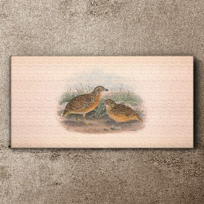 Tableau imprimé sur toile Deux oiseaux dans l'herbe