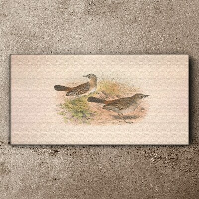 Tableau imprimé sur toile Oiseaux sur fond naturel