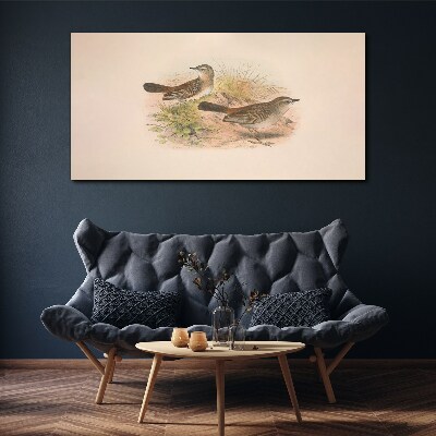 Tableau imprimé sur toile Oiseaux sur fond naturel