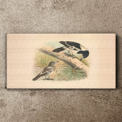 Tableau sur toile Oiseaux sur une branche