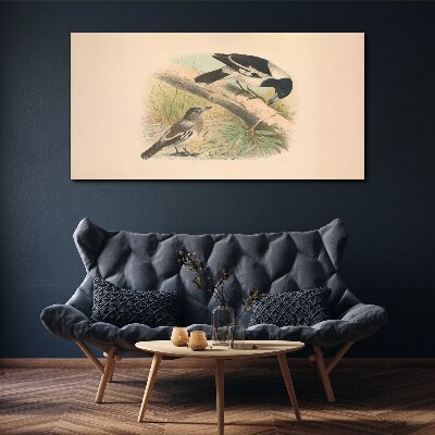 Tableau sur toile Oiseaux sur une branche