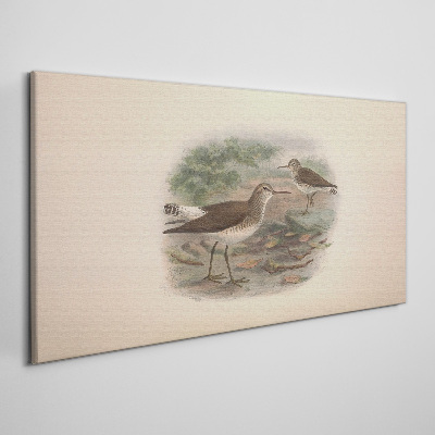 Tableau imprimé sur toile Oiseaux au-dessus de l'eau