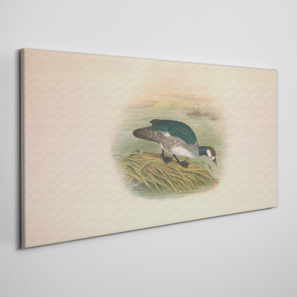 Tableau toile imprimée Un oiseau sur un fond d'eau