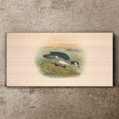 Tableau toile imprimée Un oiseau sur un fond d'eau