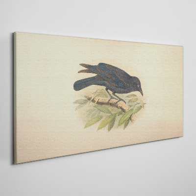 Tableau toile imprimée Oiseau noir sur une branche