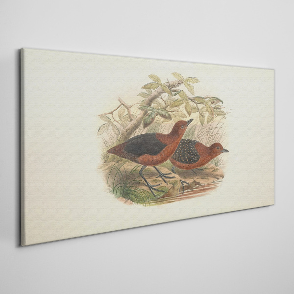 Tableau imprimé sur toile Les oiseaux dans leur habitat naturel