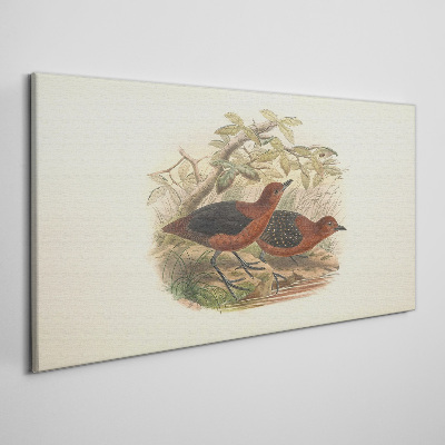 Tableau imprimé sur toile Les oiseaux dans leur habitat naturel