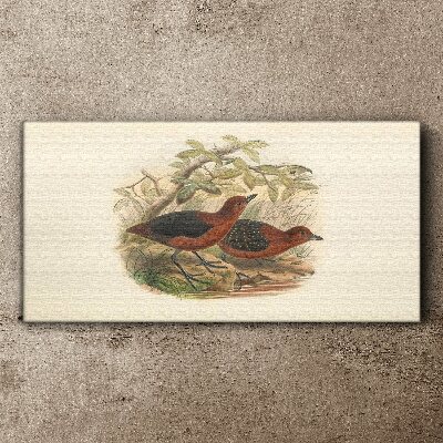 Tableau imprimé sur toile Les oiseaux dans leur habitat naturel