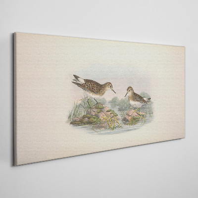 Tableau sur toile Oiseaux au bord de l'étang aux couleurs pastel