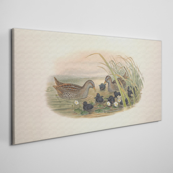 Tableau toile imprimée Familles de canards dans un environnement aquatique