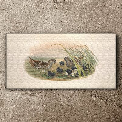 Tableau toile imprimée Familles de canards dans un environnement aquatique