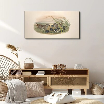 Tableau toile imprimée Familles de canards dans un environnement aquatique