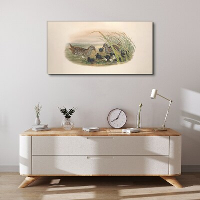Tableau toile imprimée Familles de canards dans un environnement aquatique