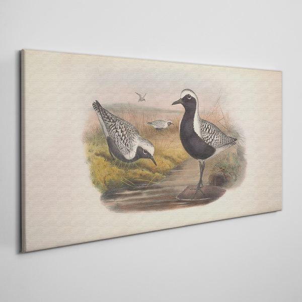 Tableau sur toile Les oiseaux dans leur habitat naturel