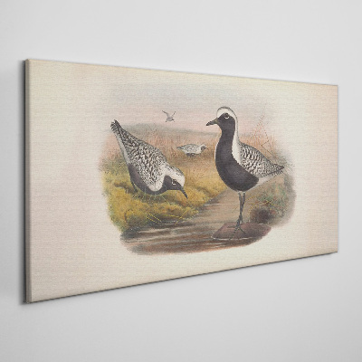 Tableau sur toile Les oiseaux dans leur habitat naturel