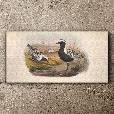 Tableau sur toile Les oiseaux dans leur habitat naturel
