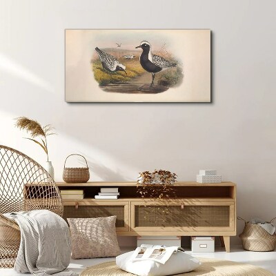 Tableau sur toile Les oiseaux dans leur habitat naturel