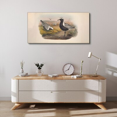 Tableau sur toile Les oiseaux dans leur habitat naturel