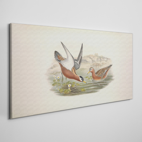 Tableau imprimé sur toile Oiseaux au-dessus de l'eau