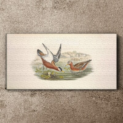 Tableau imprimé sur toile Oiseaux au-dessus de l'eau