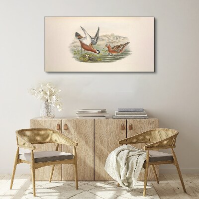 Tableau imprimé sur toile Oiseaux au-dessus de l'eau