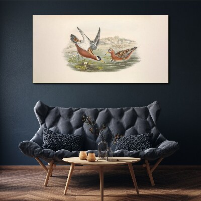 Tableau imprimé sur toile Oiseaux au-dessus de l'eau