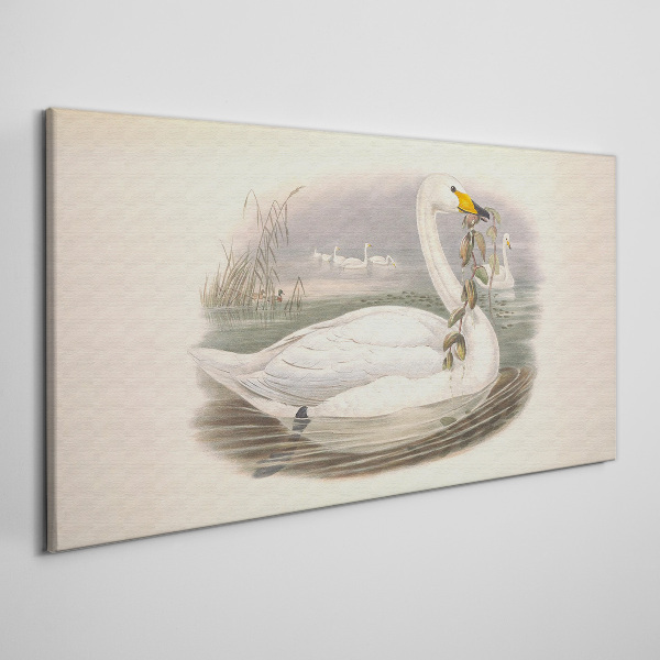 Tableau sur toile Cygne avec une brindille