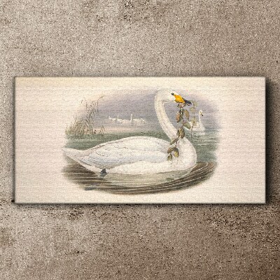 Tableau sur toile Cygne avec une brindille