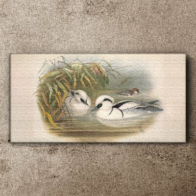 Tableau toile imprimée Un duo idyllique parmi les herbes