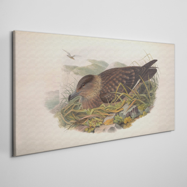 Tableau imprimé sur toile Un nid d'oiseau dans son environnement naturel