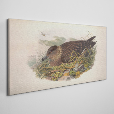 Tableau imprimé sur toile Un nid d'oiseau dans son environnement naturel