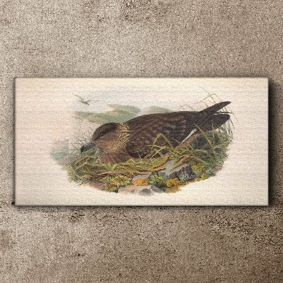 Tableau imprimé sur toile Un nid d'oiseau dans son environnement naturel