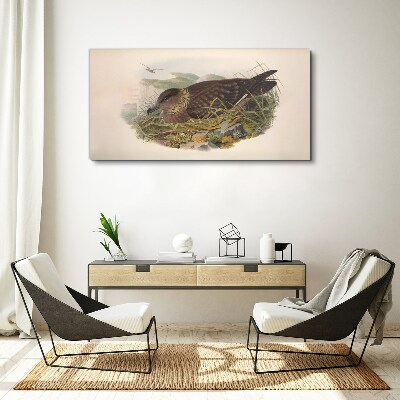 Tableau imprimé sur toile Un nid d'oiseau dans son environnement naturel