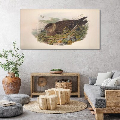 Tableau imprimé sur toile Un nid d'oiseau dans son environnement naturel