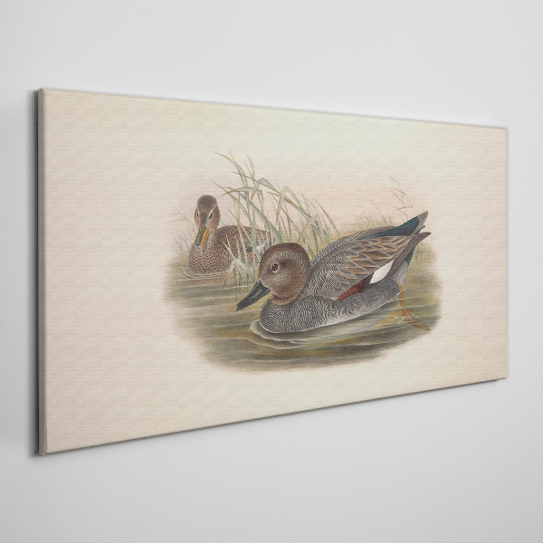 Tableau sur toile Les canards se calment dans leur environnement naturel
