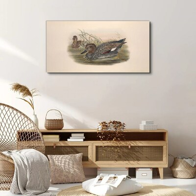Tableau sur toile Les canards se calment dans leur environnement naturel