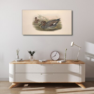 Tableau sur toile Les canards se calment dans leur environnement naturel
