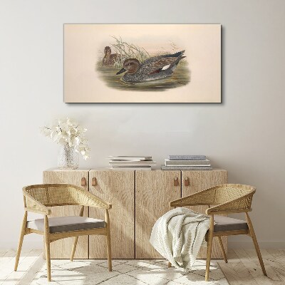 Tableau sur toile Les canards se calment dans leur environnement naturel
