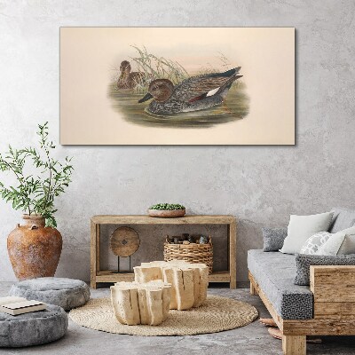 Tableau sur toile Les canards se calment dans leur environnement naturel