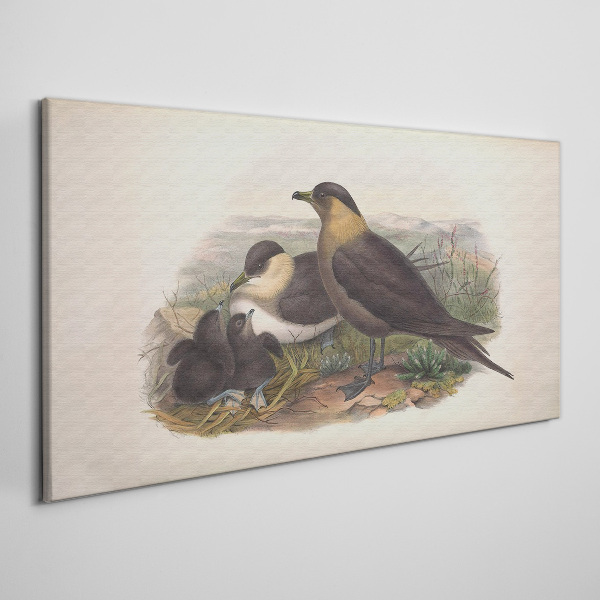 Tableau imprimé sur toile Une famille d'oiseaux sur un nid
