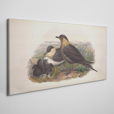 Tableau imprimé sur toile Une famille d'oiseaux sur un nid