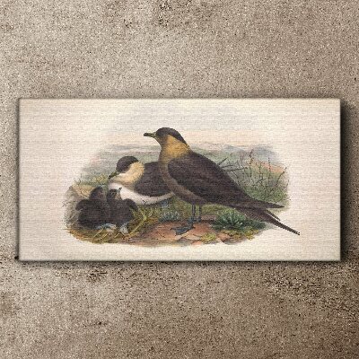 Tableau imprimé sur toile Une famille d'oiseaux sur un nid