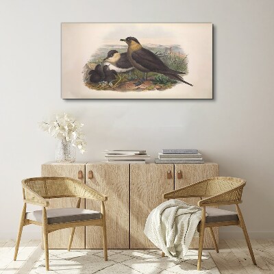Tableau imprimé sur toile Une famille d'oiseaux sur un nid