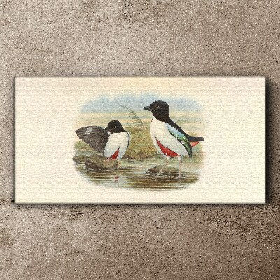 Tableau toile imprimée Oiseaux au-dessus de l'eau