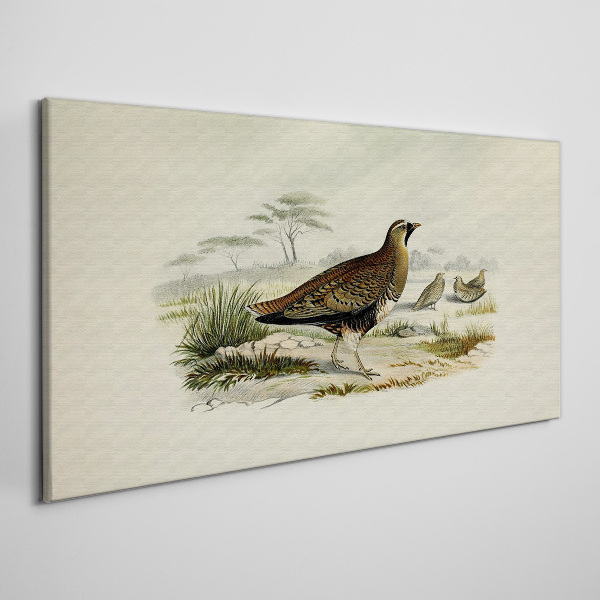 Tableau imprimé sur toile Oiseaux Animaux sauvages